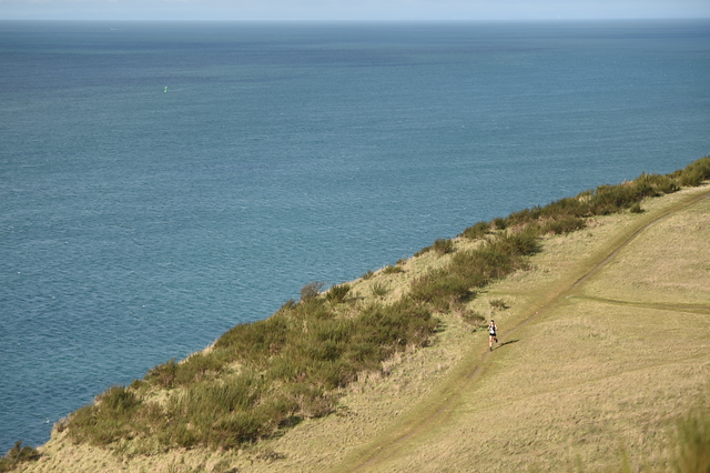 80553332-2019-02-23+0358